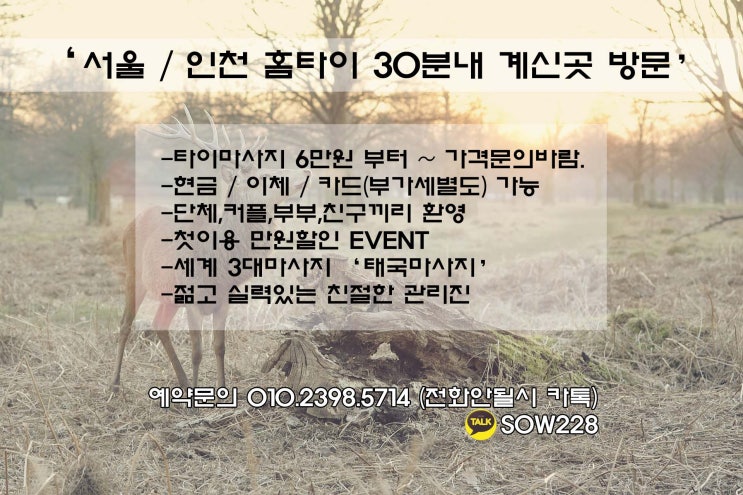  노량진 출장타이마사지 '세계3대마사지'