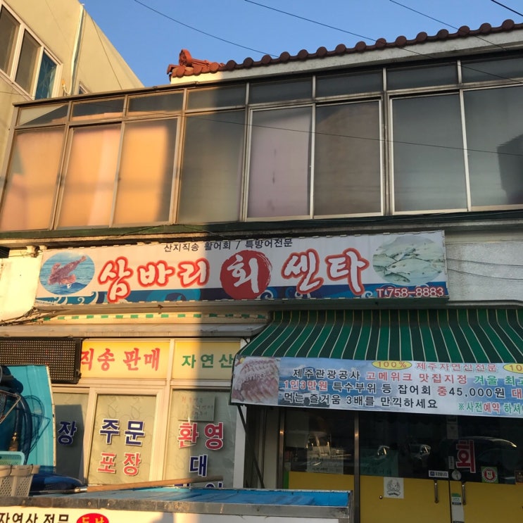  제주도 특대방어 '삼바리회센타'
