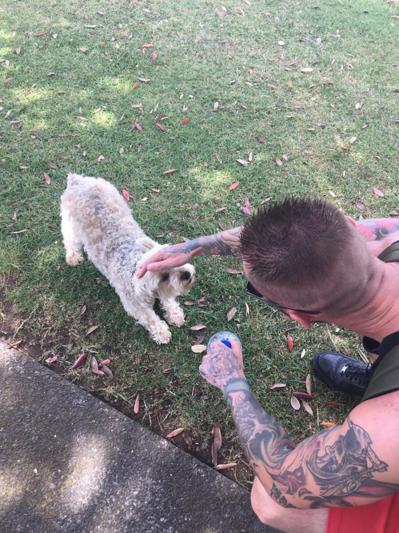 뉴질랜드 워킹홀리데이] D+240~ 244 일상 ( 공항 출근 시작 / 이사 ) : 네이버 블로그, image size:800x1067