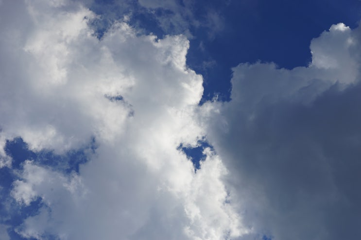 어는 여름날의 구름 with SONY A7M2, SEL90M28G(FE 90mm F2.8 MACRO G)