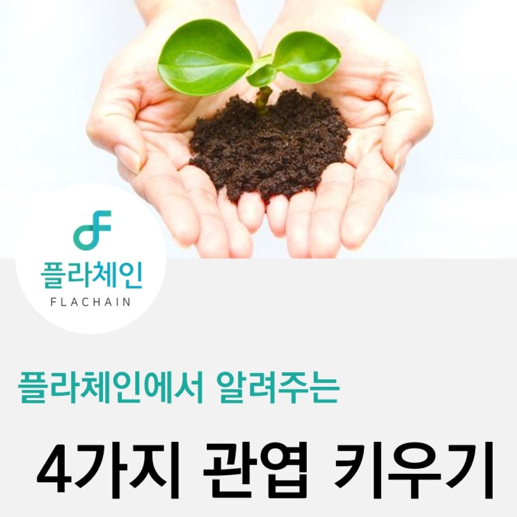  [플라체인]녹보수, 떡갈나무, 금전수, 벤자민 키우는 법