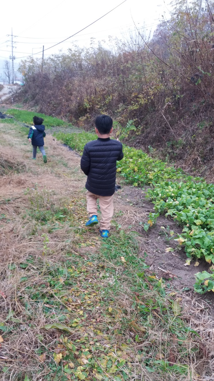 선과 악, 색즉시공