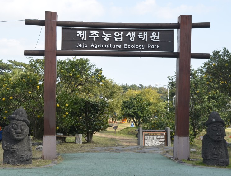 임금님의 감귤밭 '금물과원'(서귀포농업기술센터, 국제감귤박람회) -배근휘