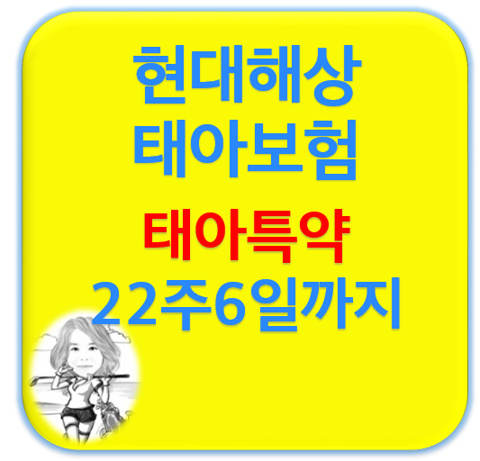  현대해상 태아보험 특약 설계와 가입시기 22주 6일까지