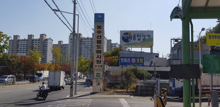 대구/농수산물도매시장#매천시장#영천임고강변