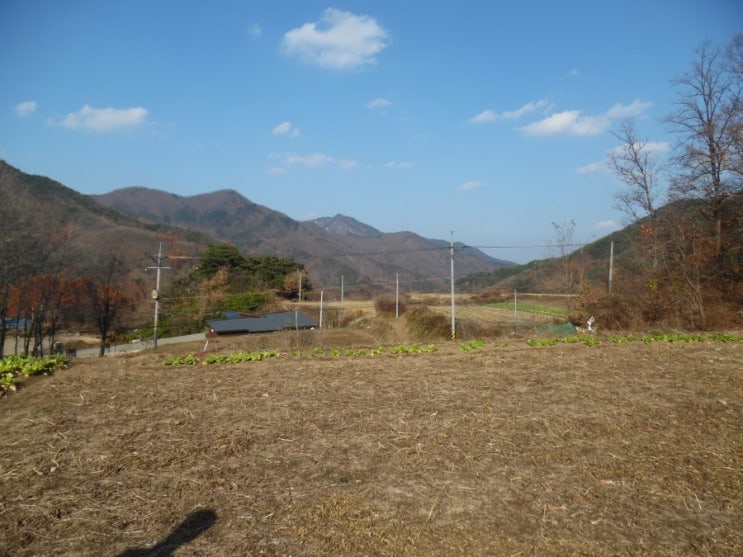  성주땅,가천땅,성주군가천면땅매매,성주전원주택부지매매,가천면전원주택부지매매,성주전원주택,가천면전원주택,성주땜,신계용사리전원부지매매,용사리전원주택부지매매,성주부동산,성주애공인중개사