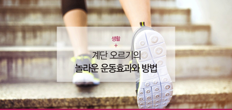 계단 오르기의 놀라운 운동효과와 방법 : 네이버 블로그 계단 오르기의 놀라운 운동효과와 방법 : 네이버 블로그