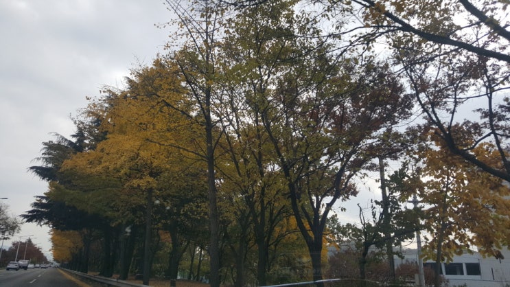  전원안들어옴 화면 안들어옴 모니터 신호없음 접수의뢰 ( 대구 동구 방촌동 컴퓨터 수리 )