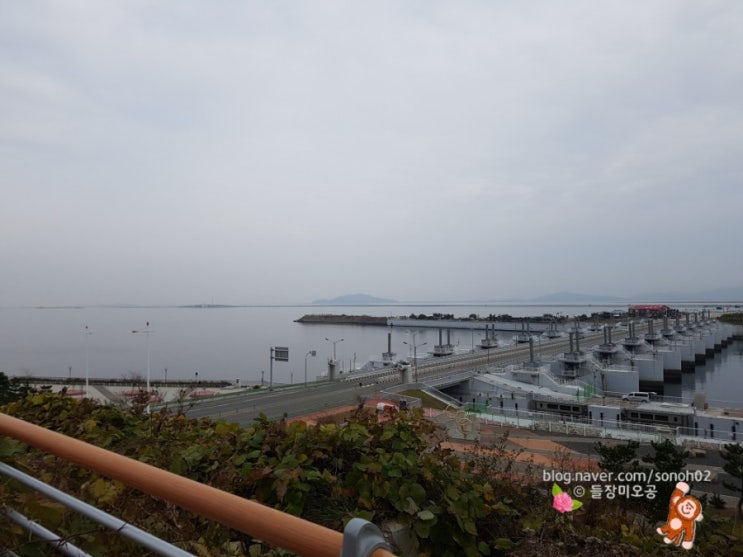  [20181118] 군산 당일여행-새만금방조제, 금강하구둑, 금강철새여행