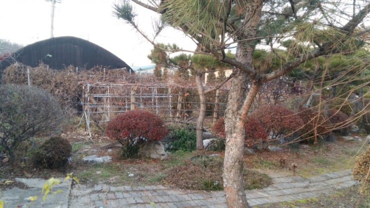  교육장 옆에는 포도가 청소창업.공장,체육관,학교,병원,학원화재청소,철거,냄새제거,입주,이사,계단청소,나노코팅,새집증후군,마루코팅,씽크대상판 유리막코팅,제주,울산,거제,전주,진주