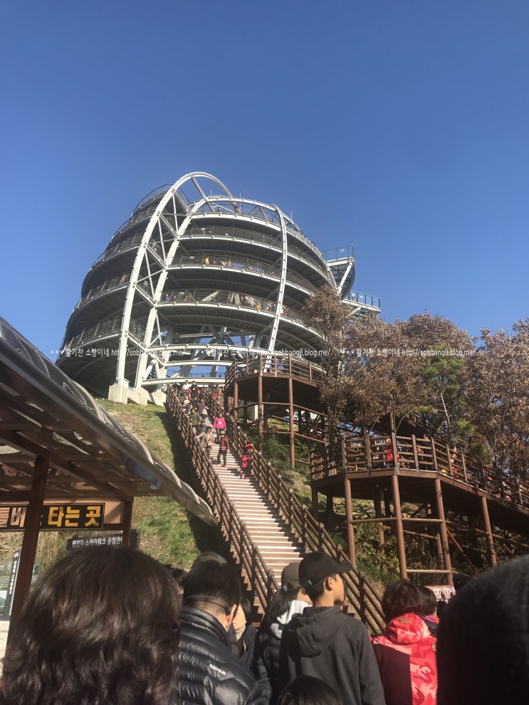  아이들과 가볼만한 액티비티한  단양여행코스 7곳