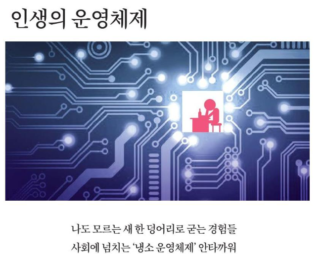  냉소로 가득찬 사회