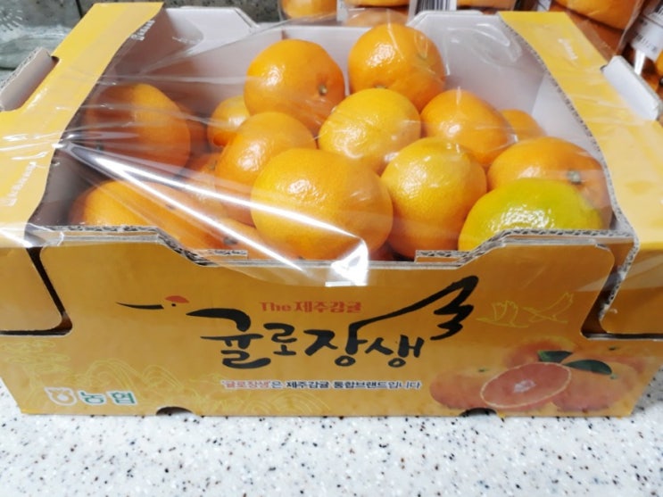  노브랜드 귤 제주감귤 귤로장생