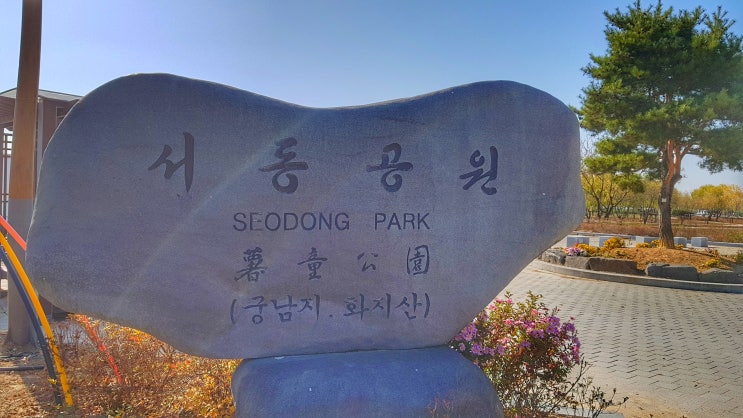  부여여행 가을 궁남지 부여맛집  부여시장 왕곰탕 -연꽃 핀 화려한 시절은 가버렸나
