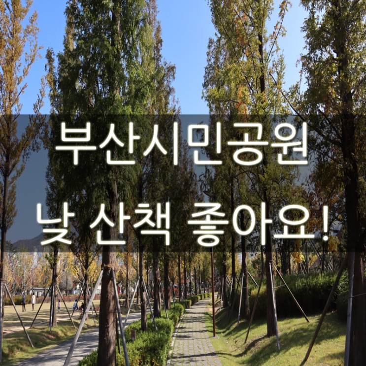 부산시민공원 아직 낮에는 산책하기 좋아요!