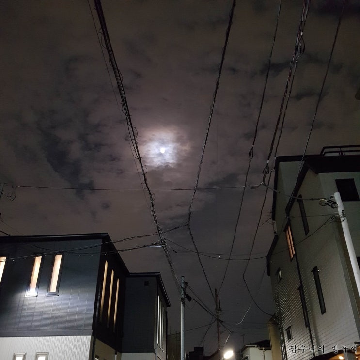  [일본워홀] 144日 늦잠 / 짜장면