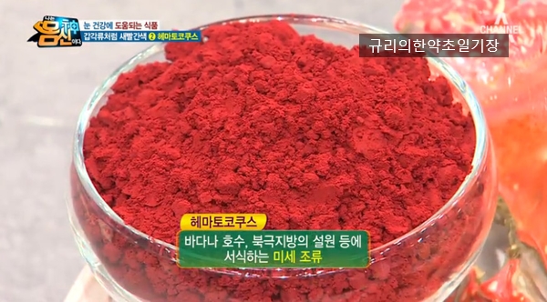  눈건강 눈중풍 예방! 헤마토코쿠스 추출물 분말 아스타잔틴 효능