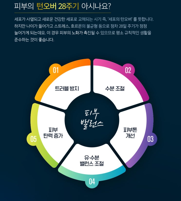  피부의 턴오버 28주기를 아시나요?
