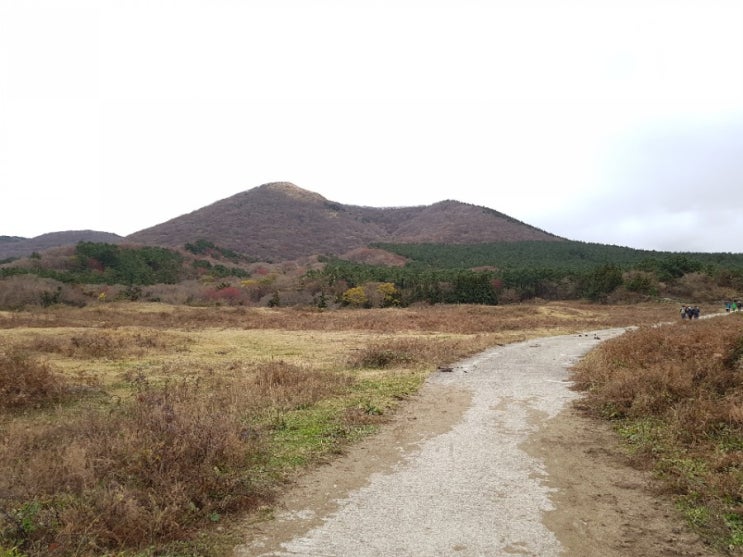 깊은 가을 노꼬메오름
