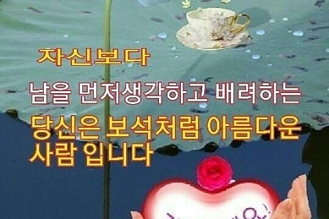 세기냉열 이미지