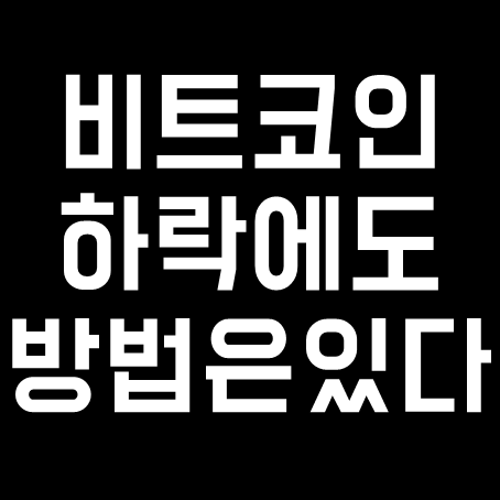  비트코인 하락 폭락속에 살아날 방법은 없을까