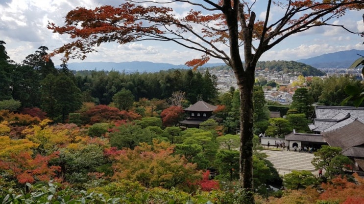 오사카 교토 자유여행 / 은각사 / 긴카쿠지 / 철학의 길 / 게이한 패스 / 교토버스 1일 패스 오사카 교토 자유여행 / 은각사 / 긴카쿠지 / 철학의 길 / 게이한 패스 / 교토버스 1일 패스