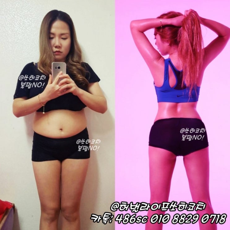  허벌라이프 허브티 / 허벌티 #애플캐모마일향 다이어트 후기