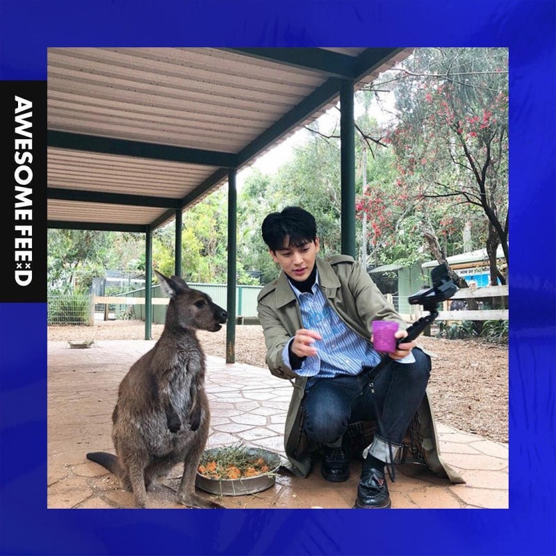 181120 iKON 아이콘 송윤형 @ 어썸피드 영상클립