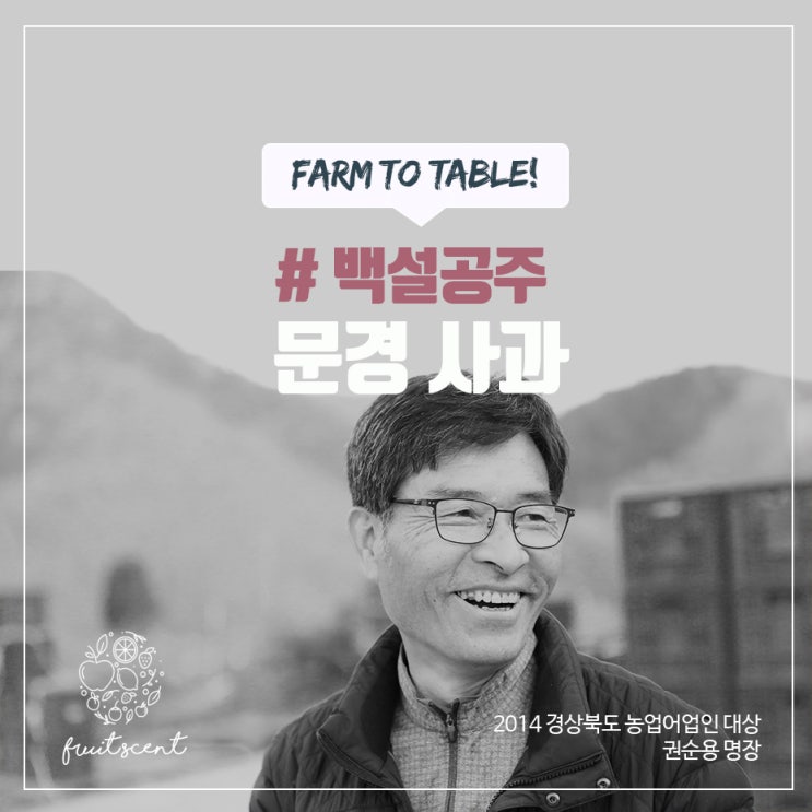  문경사과, 사과10KG