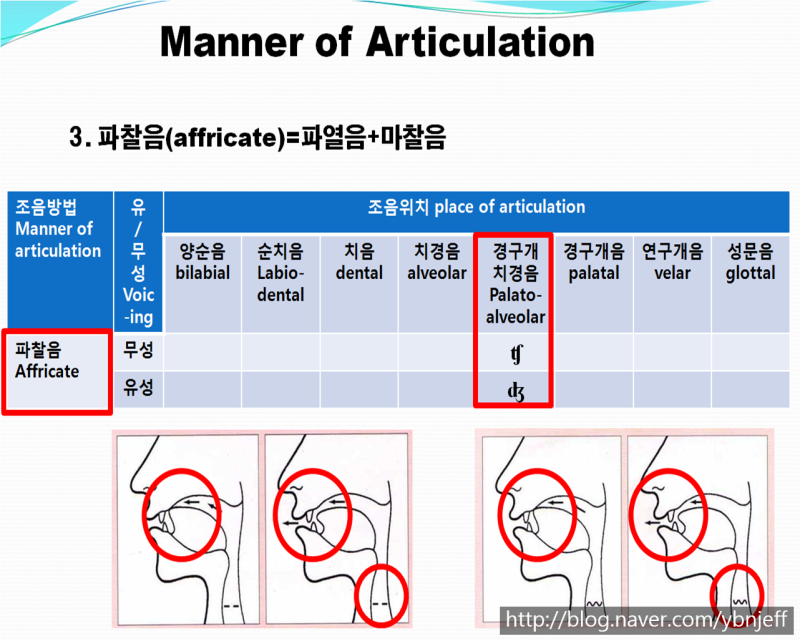 자음의 분류기준3: 조음방법-파찰음 : 네이버 블로그
