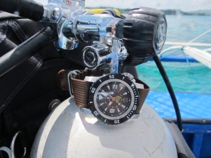 Steinhart triton dual time deals