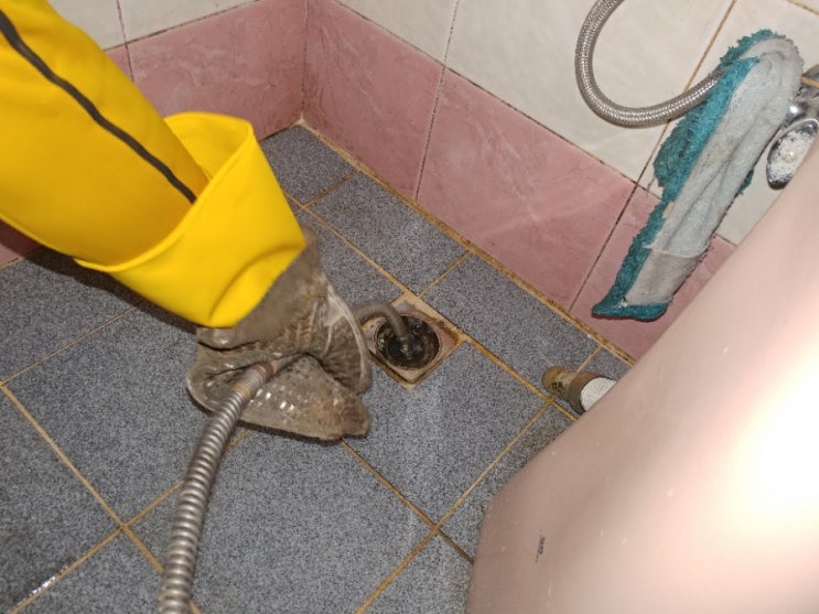  화장실에서 사용하지 않은 물이 하수구로 역류해요!