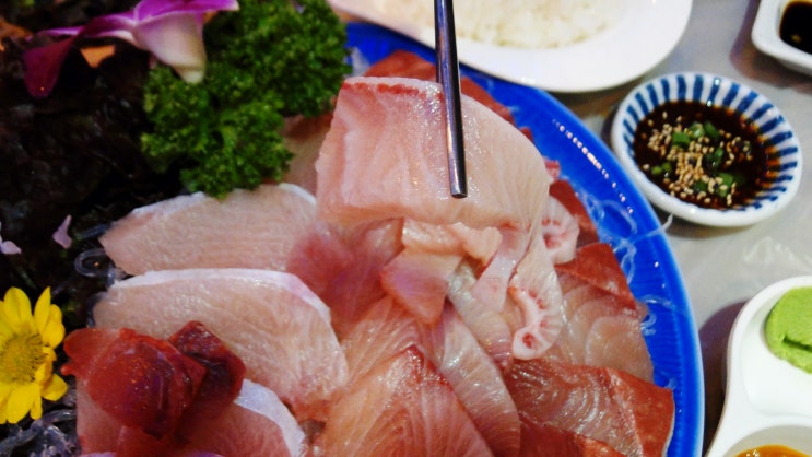  [석촌역/송리단길/맛집] '완도산 회' 송파직영점
