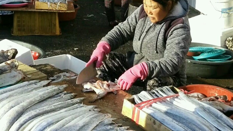생선손질 잘하네요,고등어,갈치,아나고 손질,생선회뜨기 생선손질 잘하네요,고등어,갈치,아나고 손질,생선회뜨기