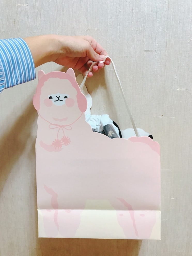  친구 생일선물 포장에는 가성비갑스 다이소 알파카 선물백과 트윙클 파우치 이용 ! 