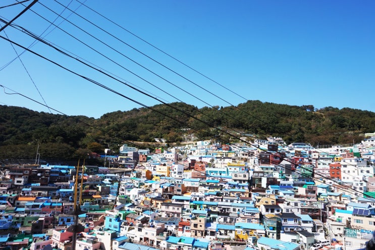  부산 감천문화마을 북적하지만 사진찍기 좋았던 곳.