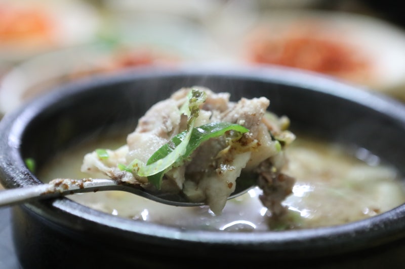 음성 원남 맛집 소나무집 순대국밥