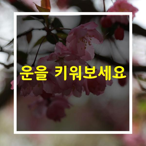  부자되는법 - 운을키워보세요