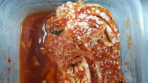  김치 표면 흰색막 곰팡이 아닌 효모 골마지 안정성 입증