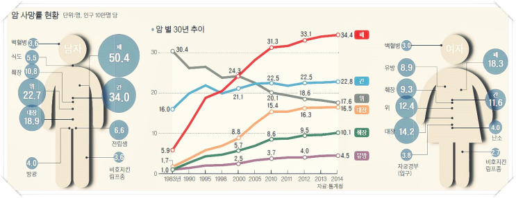  92년생암보험 상세이용하는법 