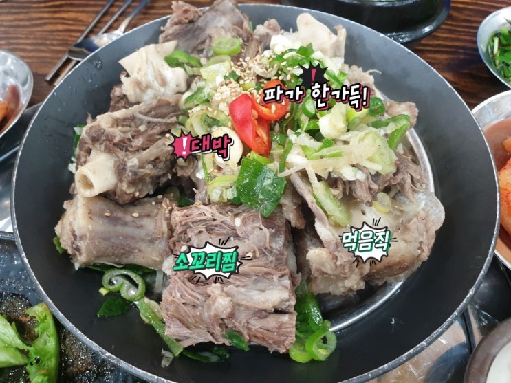  소꼬리찜 맛집 정준하의 단골집 등나무집