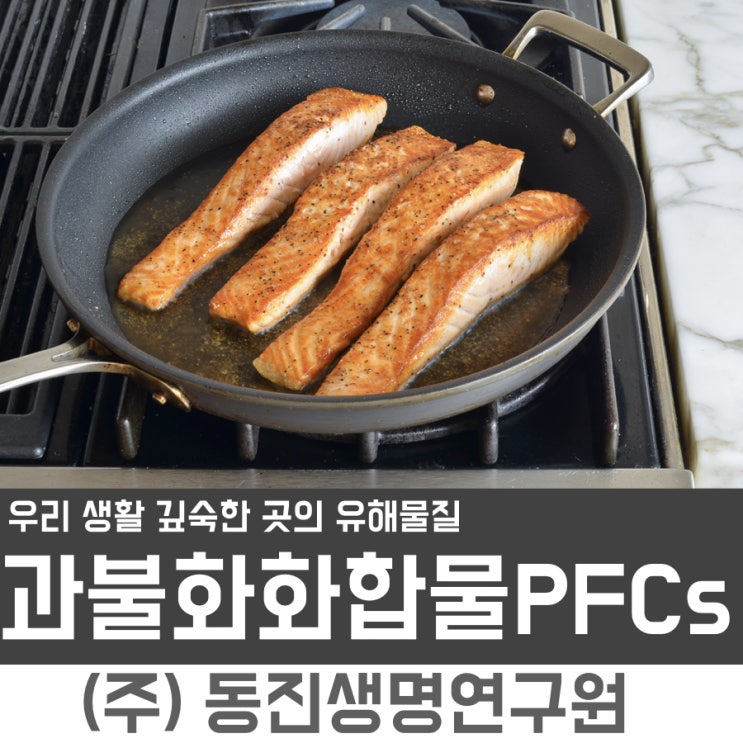  [유해물질 검사] 우리 생활 속 깊숙이 들어온 유해물질, 과불화화합물(PFCs)을 알아봅시다. [동진생명연구원]