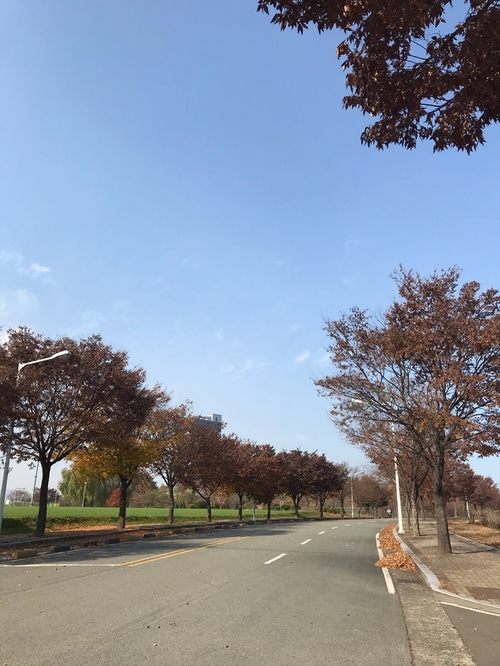  2018년 11월 25일
