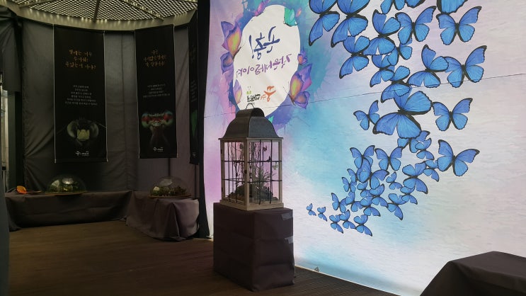  김포 라베니체 곤충전시 체험이벤트
