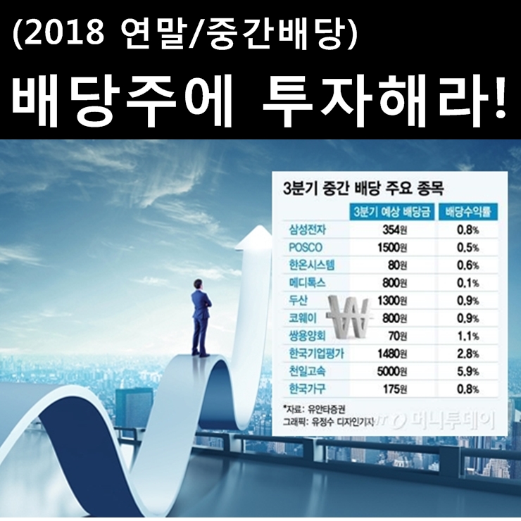  주식 2018 연말 배당주 순위 : 삼성전자, 효성, S-Oil, 롯데칠성, 롯데푸드, 천일고속, 롯데케미칼, 삼성화재, SK텔레콤, SK이노베이션, POSCO, KCC 외