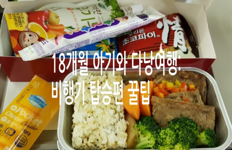  18개월 아기와 다낭여행 :   비행기 탑승편 꿀팁