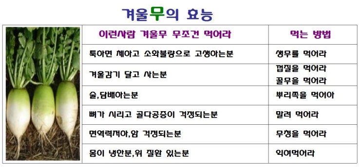  몸에 좋은 겨울 무