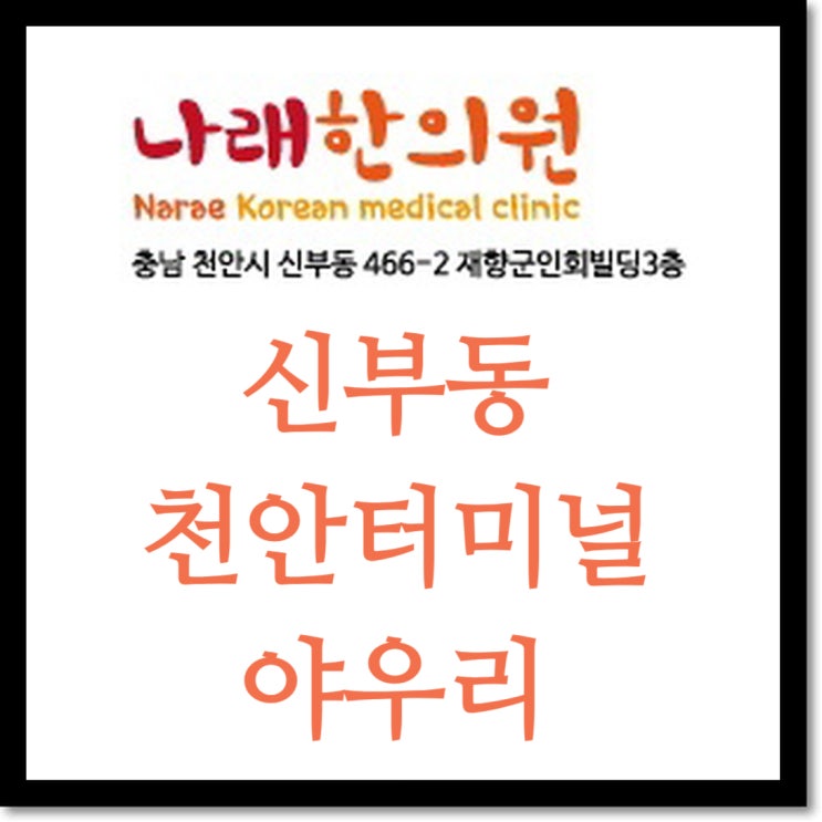  신부동 토요일 한의원 진료시간 및 점심휴식 안내 : 천안 나래한의원