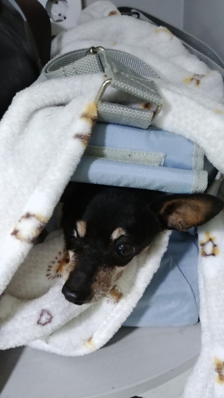  여행