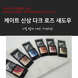 [케이트섀도우/ 케이트추천템] 케이트 신상 다크로즈섀도우 색감 너무 이뻐요~!!